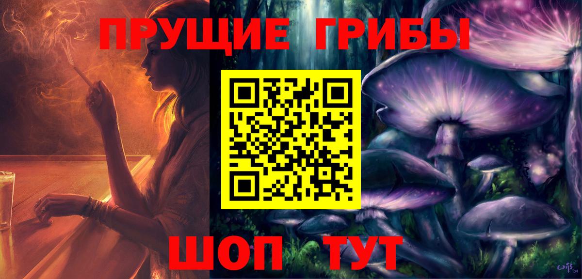 Псилоцибиновые грибы мицелий Гагарин