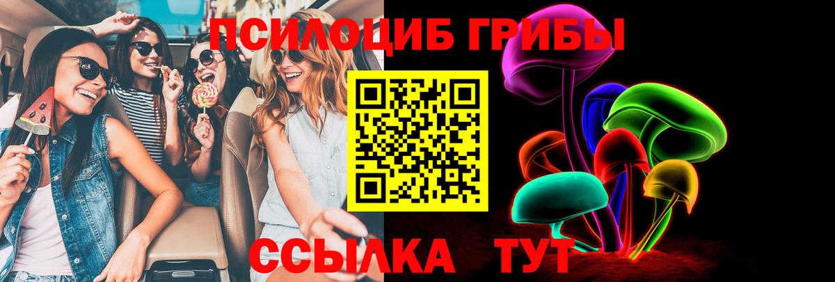 Гагарин  Галлюциногенные грибы прущие грибы  Галлюциногенные грибы Cubensis  Вход с VPN 